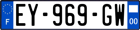 EY-969-GW