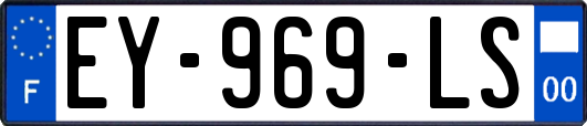 EY-969-LS