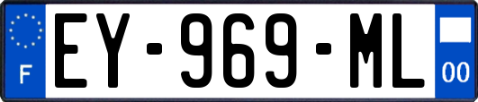 EY-969-ML