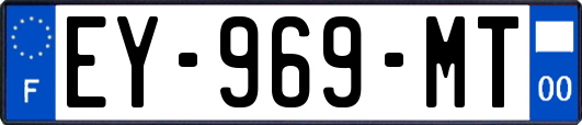 EY-969-MT