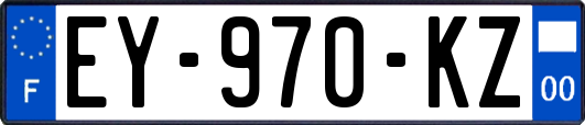 EY-970-KZ