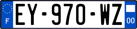 EY-970-WZ