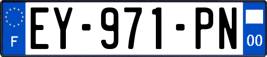 EY-971-PN