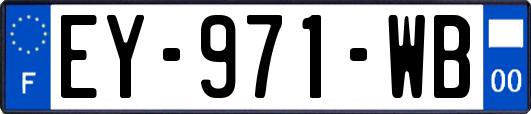 EY-971-WB