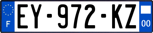 EY-972-KZ