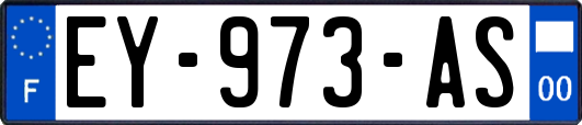 EY-973-AS