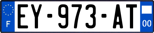 EY-973-AT