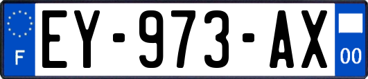 EY-973-AX