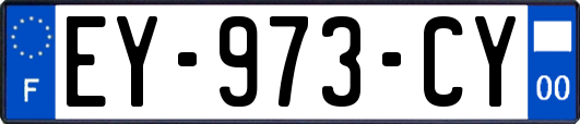 EY-973-CY