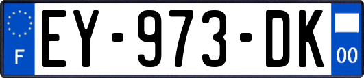 EY-973-DK