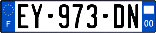 EY-973-DN