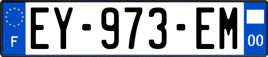 EY-973-EM
