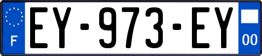 EY-973-EY