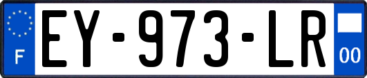 EY-973-LR