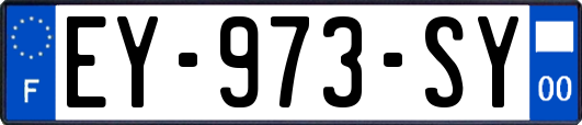 EY-973-SY