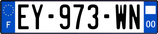EY-973-WN