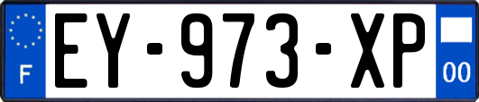 EY-973-XP