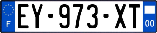 EY-973-XT