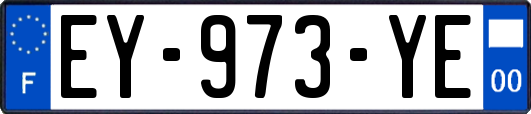 EY-973-YE