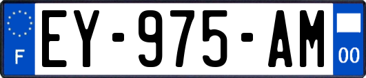 EY-975-AM