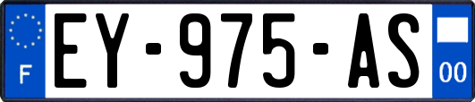 EY-975-AS