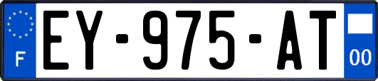 EY-975-AT