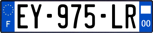 EY-975-LR