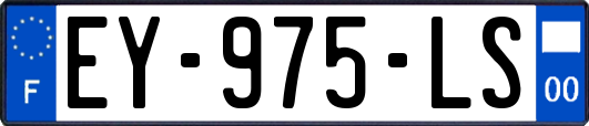 EY-975-LS