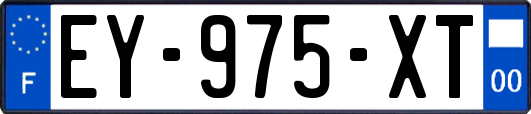 EY-975-XT