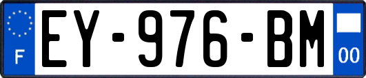 EY-976-BM