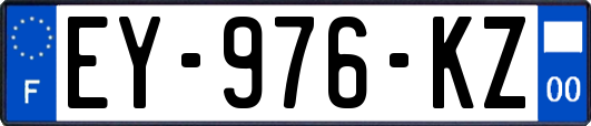 EY-976-KZ