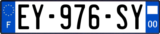 EY-976-SY