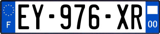 EY-976-XR