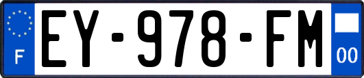 EY-978-FM