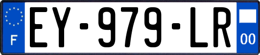 EY-979-LR