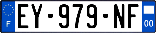 EY-979-NF