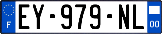 EY-979-NL