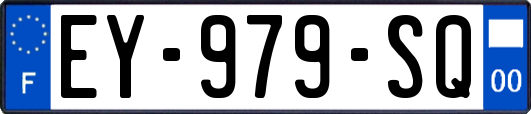 EY-979-SQ