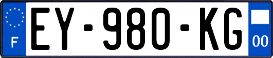 EY-980-KG