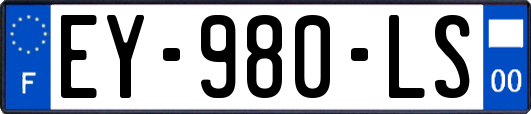 EY-980-LS