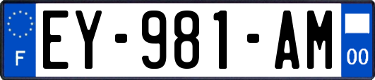 EY-981-AM