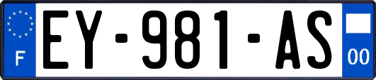 EY-981-AS