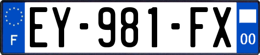 EY-981-FX