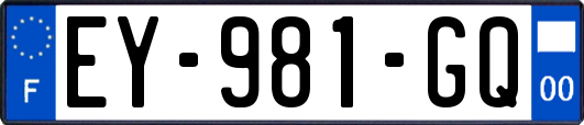 EY-981-GQ