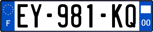 EY-981-KQ