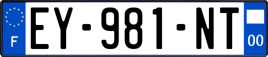 EY-981-NT