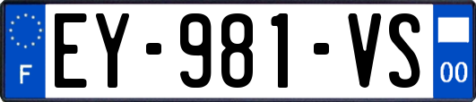EY-981-VS