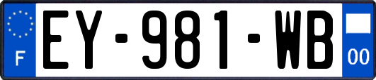 EY-981-WB