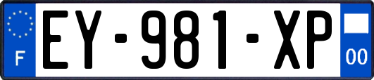 EY-981-XP