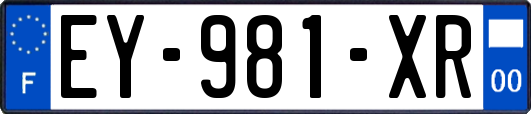 EY-981-XR